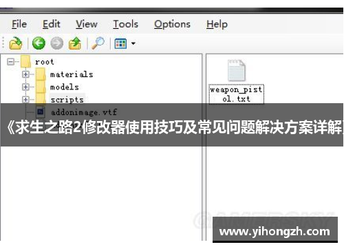 《求生之路2修改器使用技巧及常见问题解决方案详解》